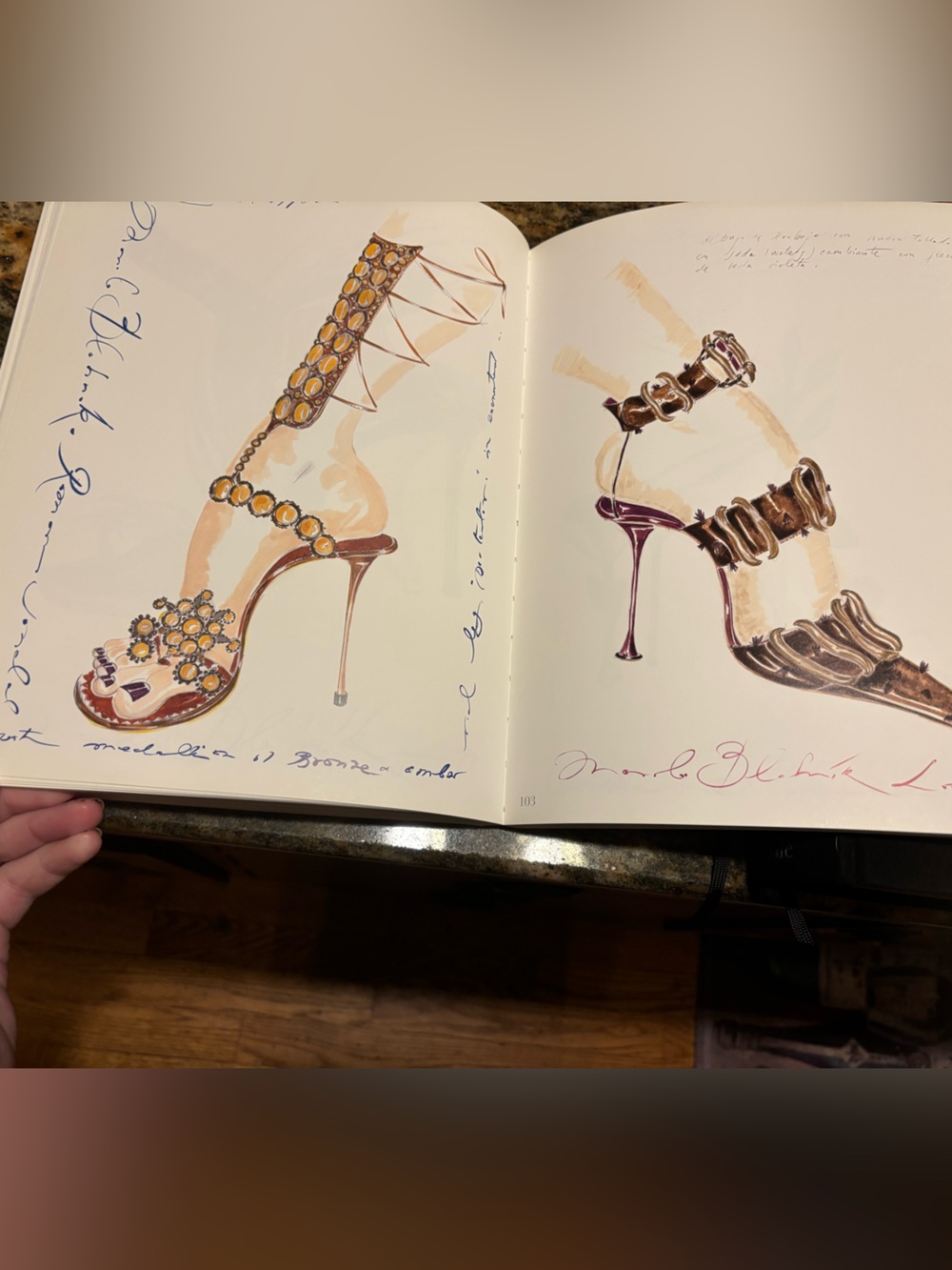 CHANEL Catwalk and Manolo Blahnik The Drawings - Picture 10 of 11